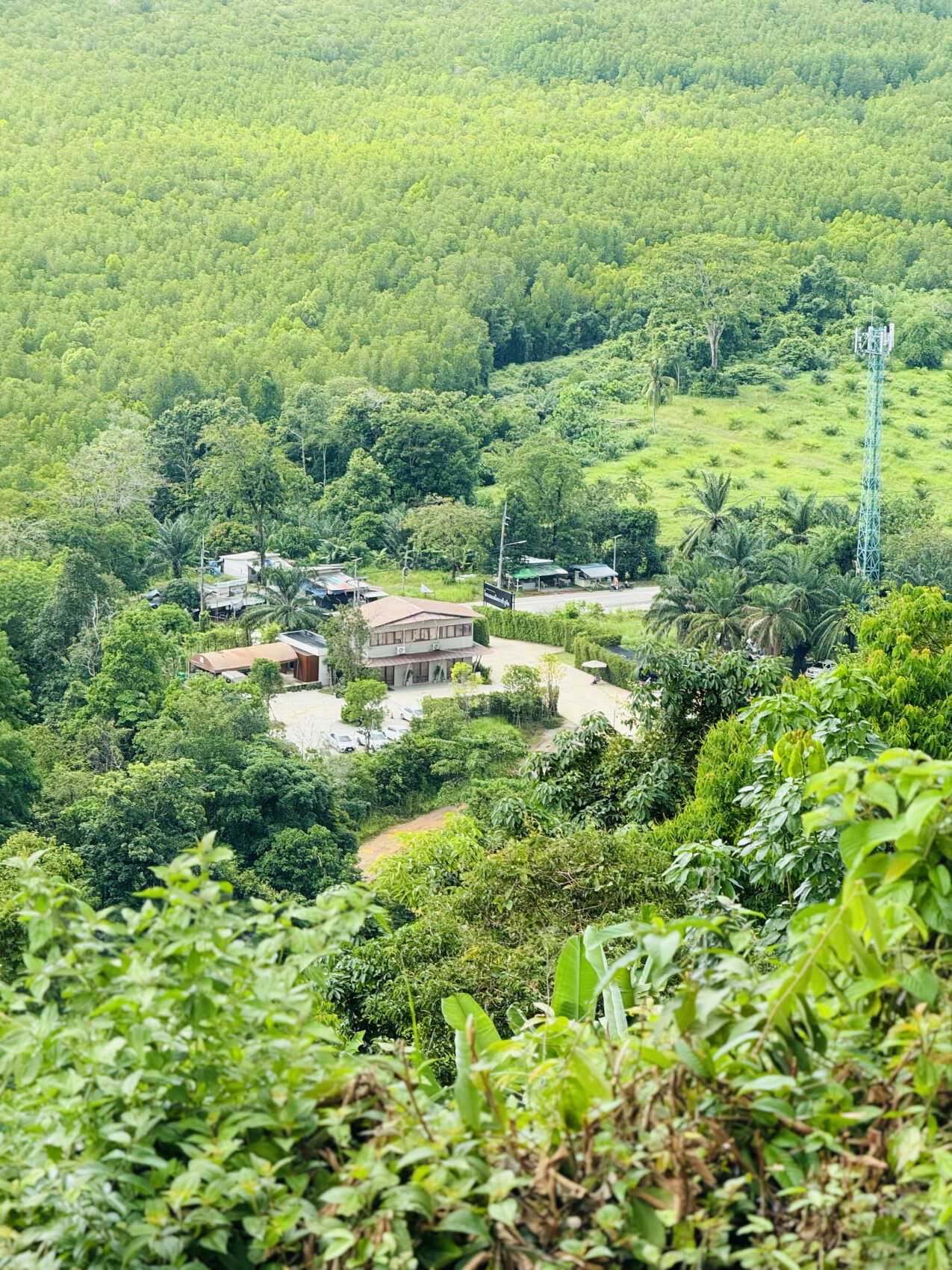 Долина зоолитов. Пещерная экзотика (46/47)