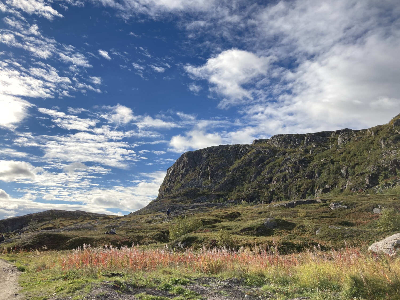 Путешествие в Териберку. Киты и Баренцево море (3/20)