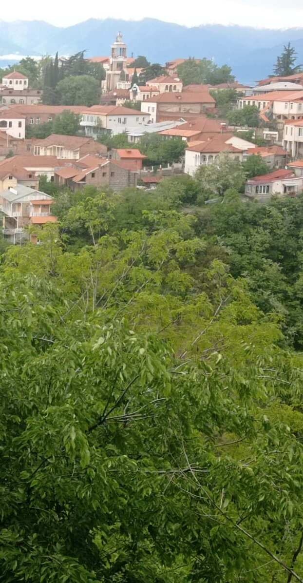 Грузинский вояж  летние маршруты за вдохновением (14/14)