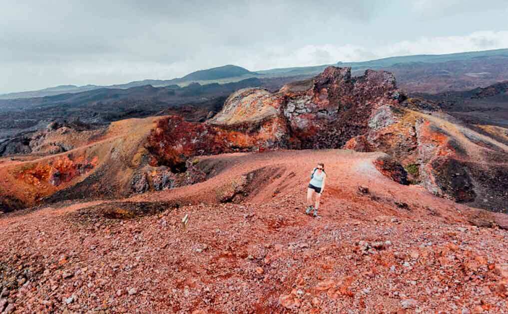 10-дневная прогулка по Галапагосским островам в Санта-Круз и Исабеле (9/9)