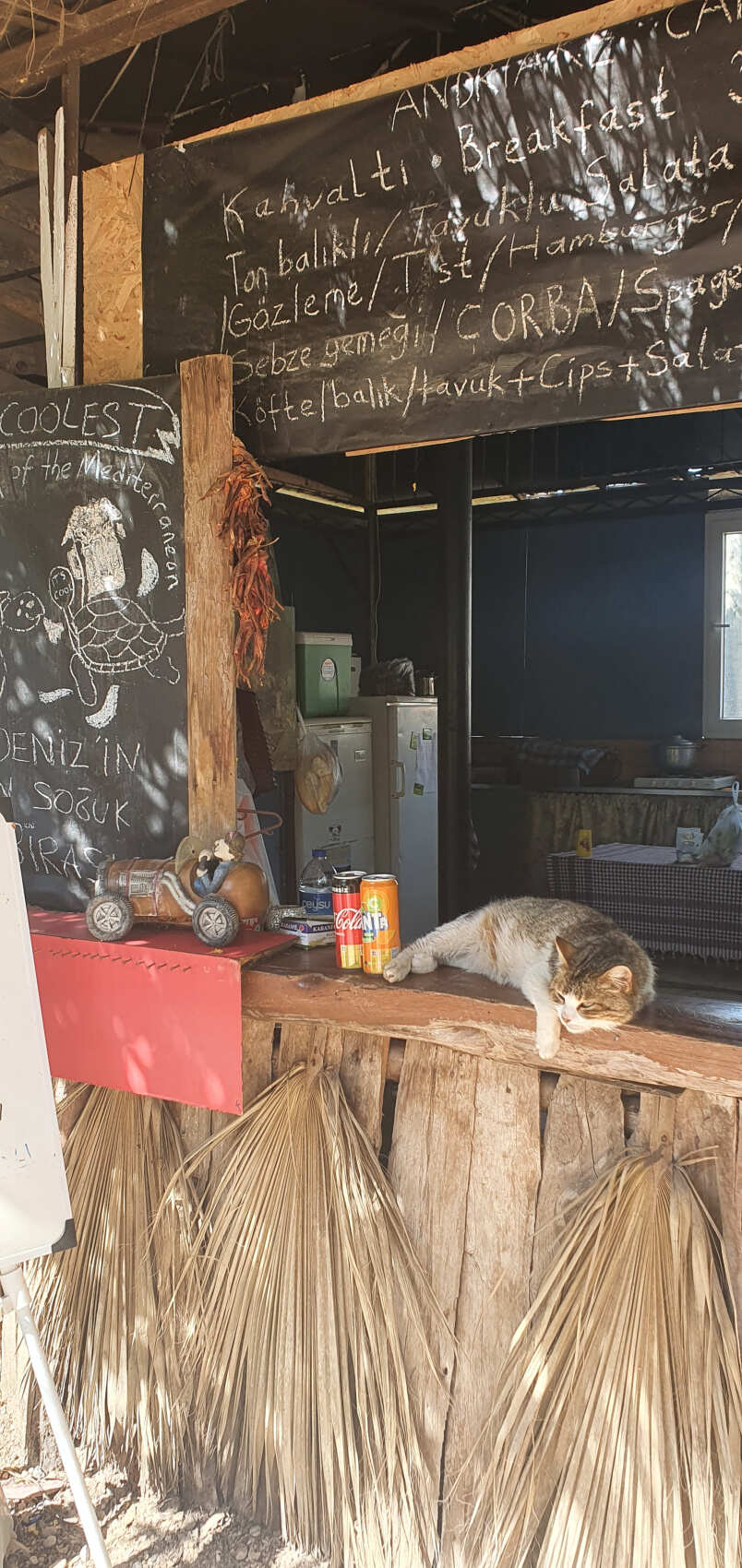 Треккинг по Ликийской тропе (без рюкзаков) (3/53)