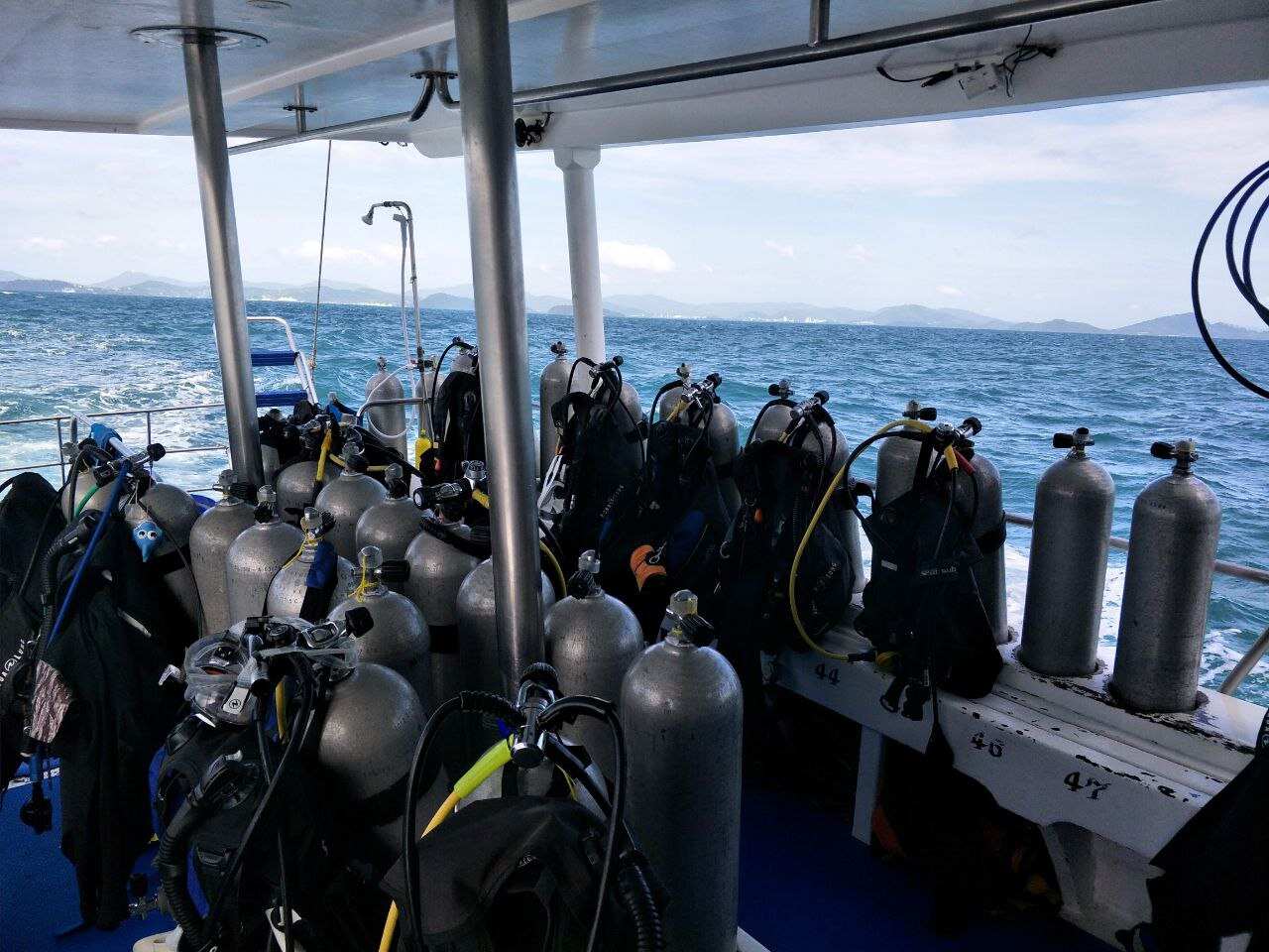 Дайвинг с индивидуальным инструктором. Для Новичков и профессионалов (38/50)