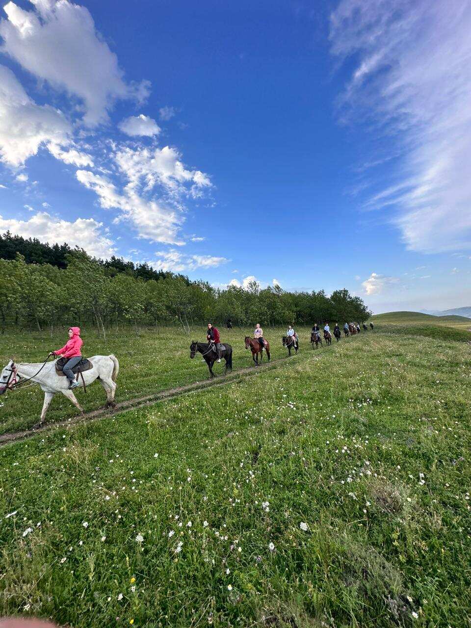 Конная прогулка в окрестностях Кисловодска (8/9)