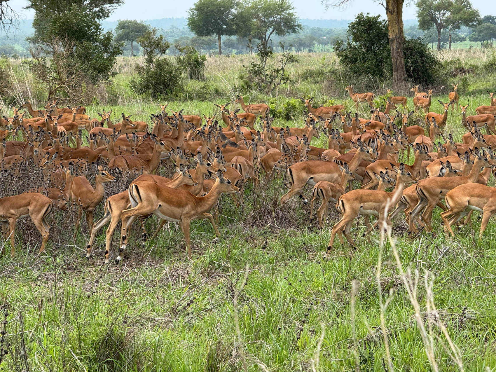 Занзибар: Приключения в Раю (40/55)
