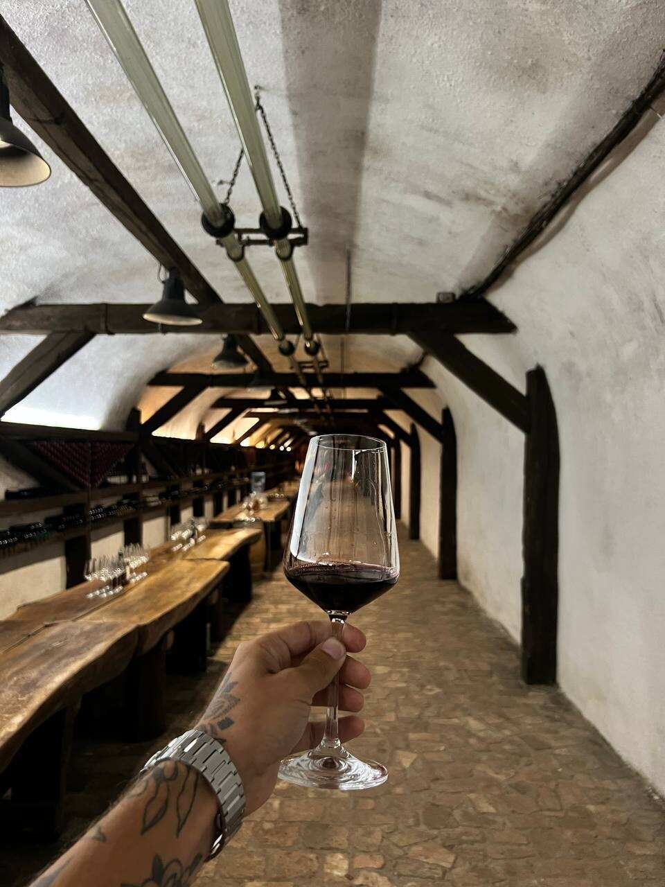 Гамарджоба, Грузия! Вино, хинкали, горы! (41/67)