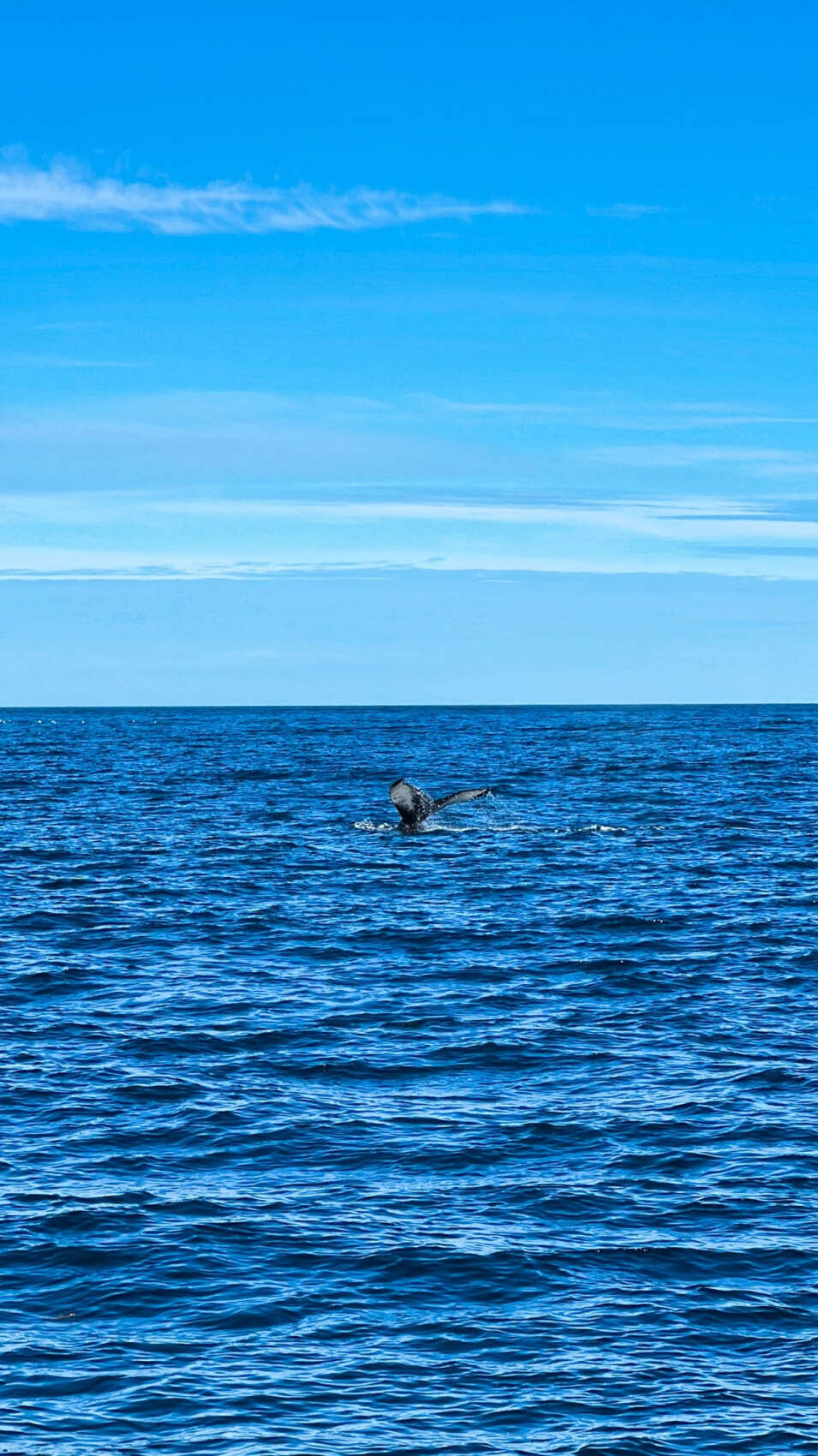 Исландия: страна льда и пламени (26/59)