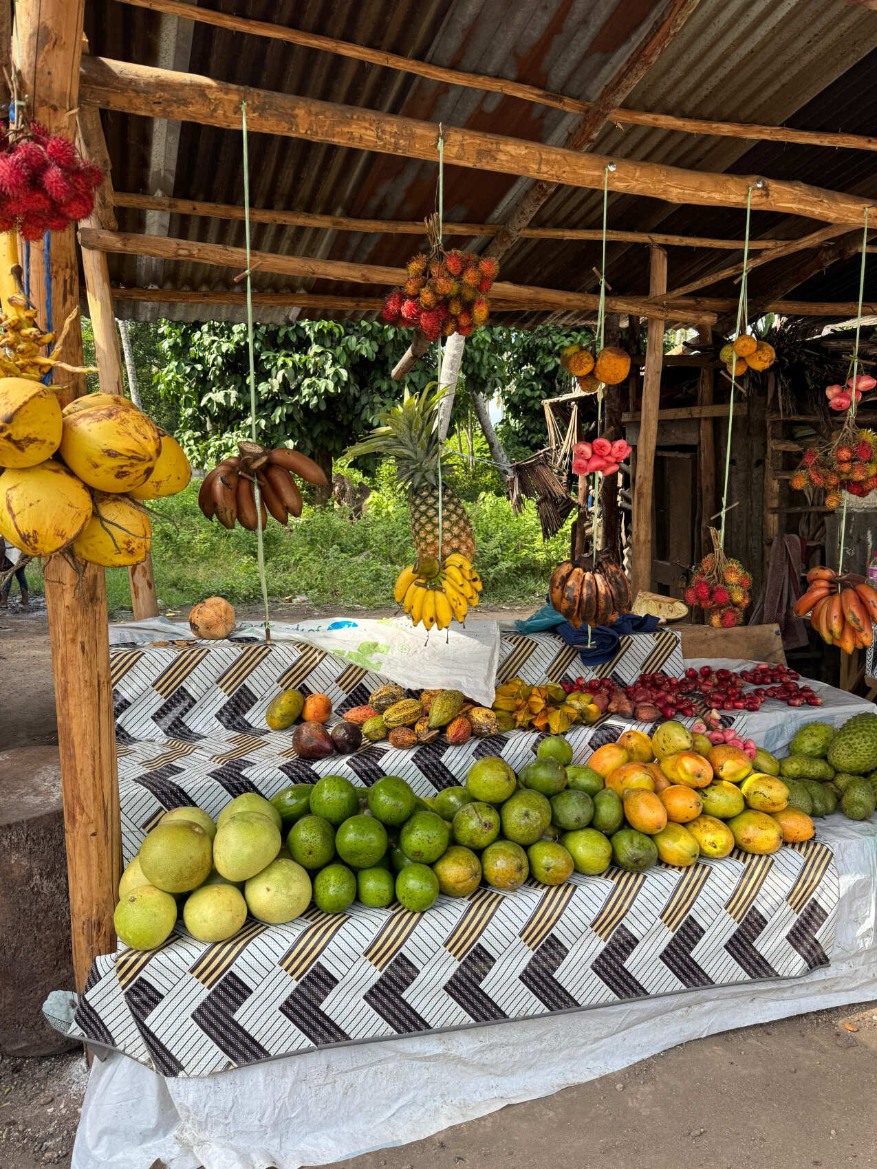 Занзибар: Приключения в Раю (24/55)