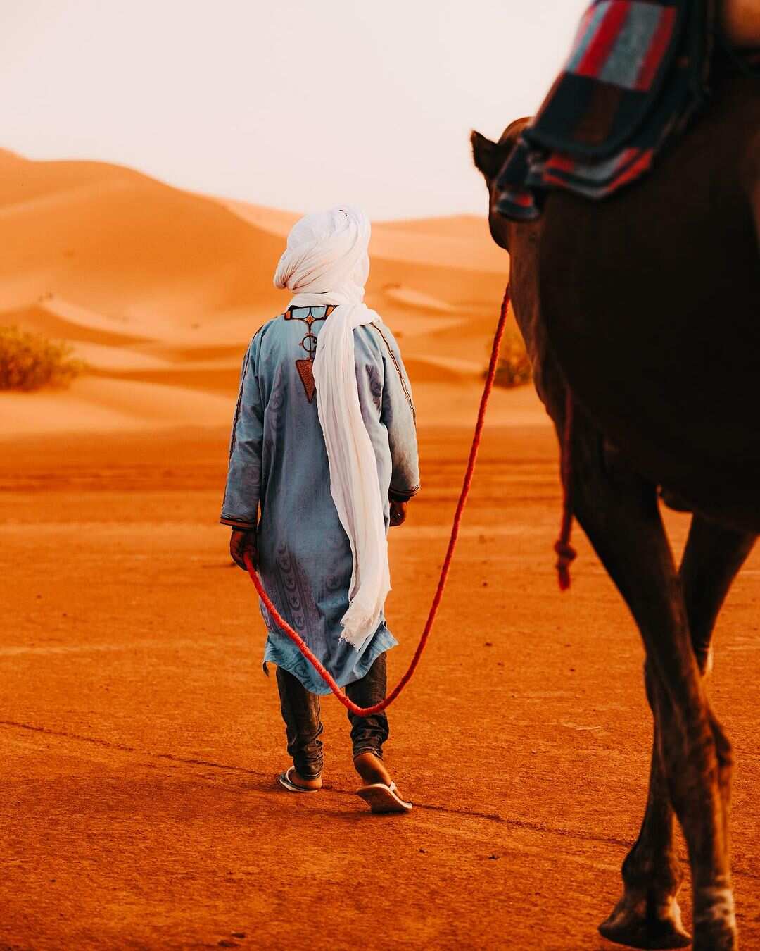 Пустыня Мерзуга Сахара в 3 днях от Марракеша  (5/7)