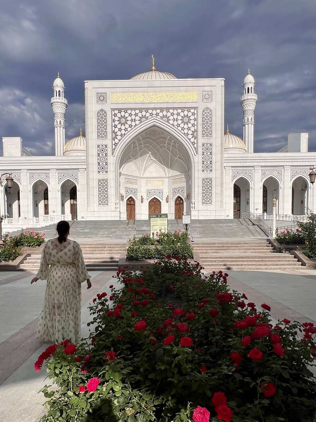 Чечня! История и Величие Кавказа. Из Владикавказа (14/51)