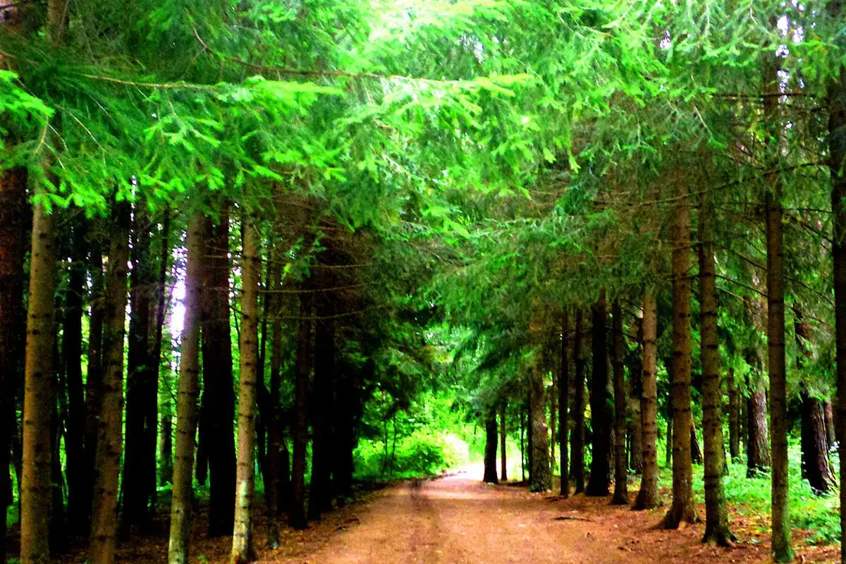 Армения: Мозаика Веков и Природы (19/40)