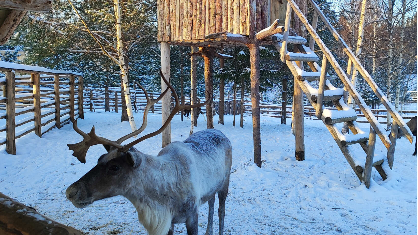 В Карелию на день из Петербурга в мини-группе! (1/7)