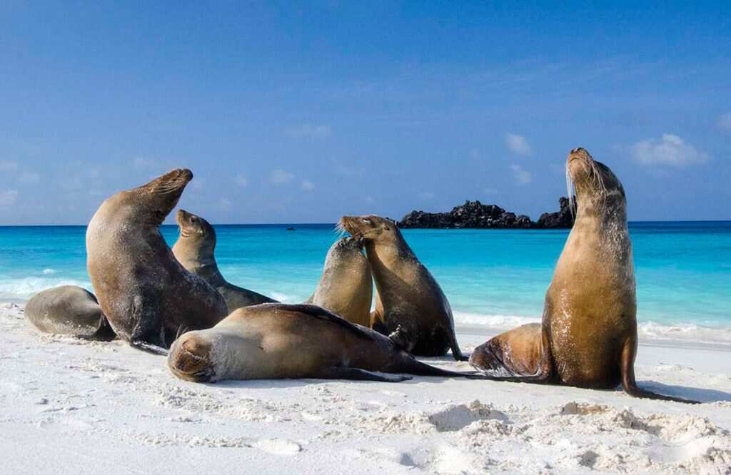 6 дней: знакомство с Санта-Крузом (бюджетное одиночное приключение) (2/7)