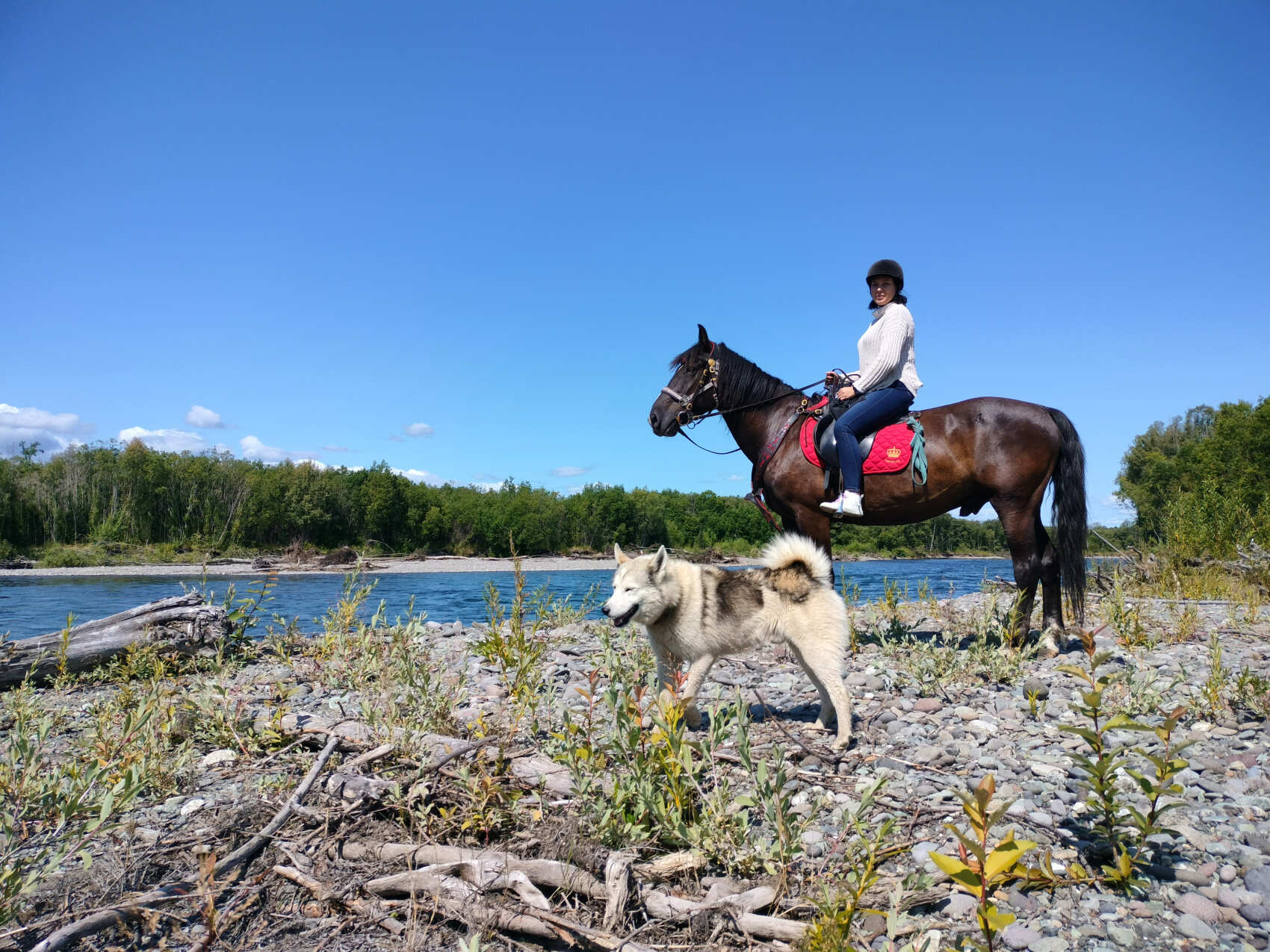 Конный тур к реке Авача (8/17)