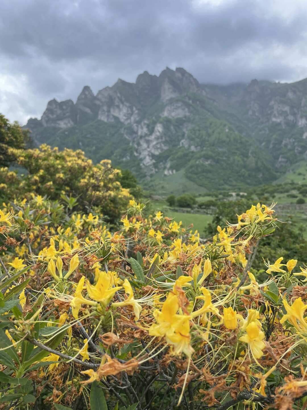 Кабардино-Балкария: Тайны Гор и Долин. Из Владикавказа (33/73)
