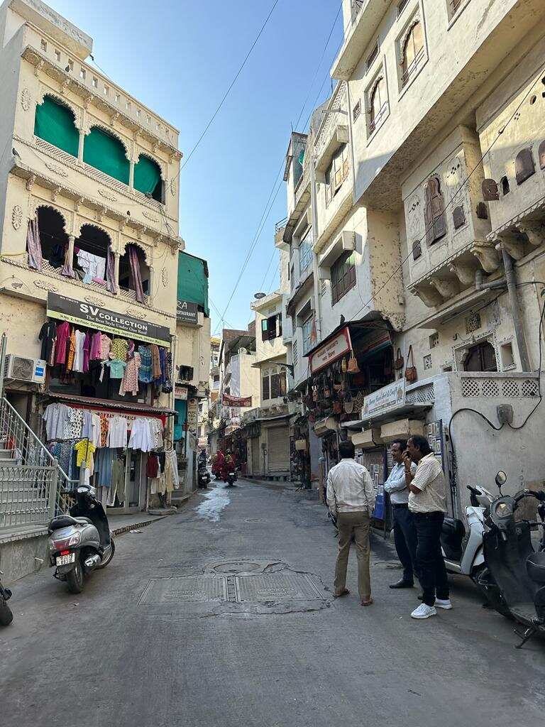 Венеция Индии белый город Удайпур и Золотой Треугольник за 4 дня (6/29)