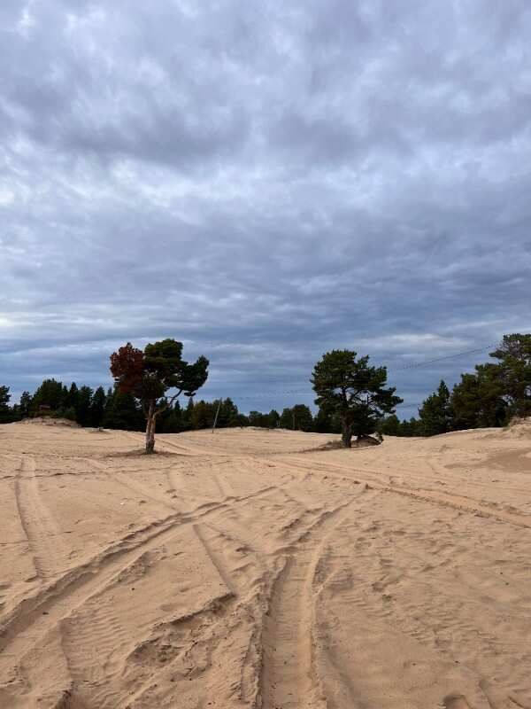 Путешествие по Терскому берегу Белого моря (7/29)