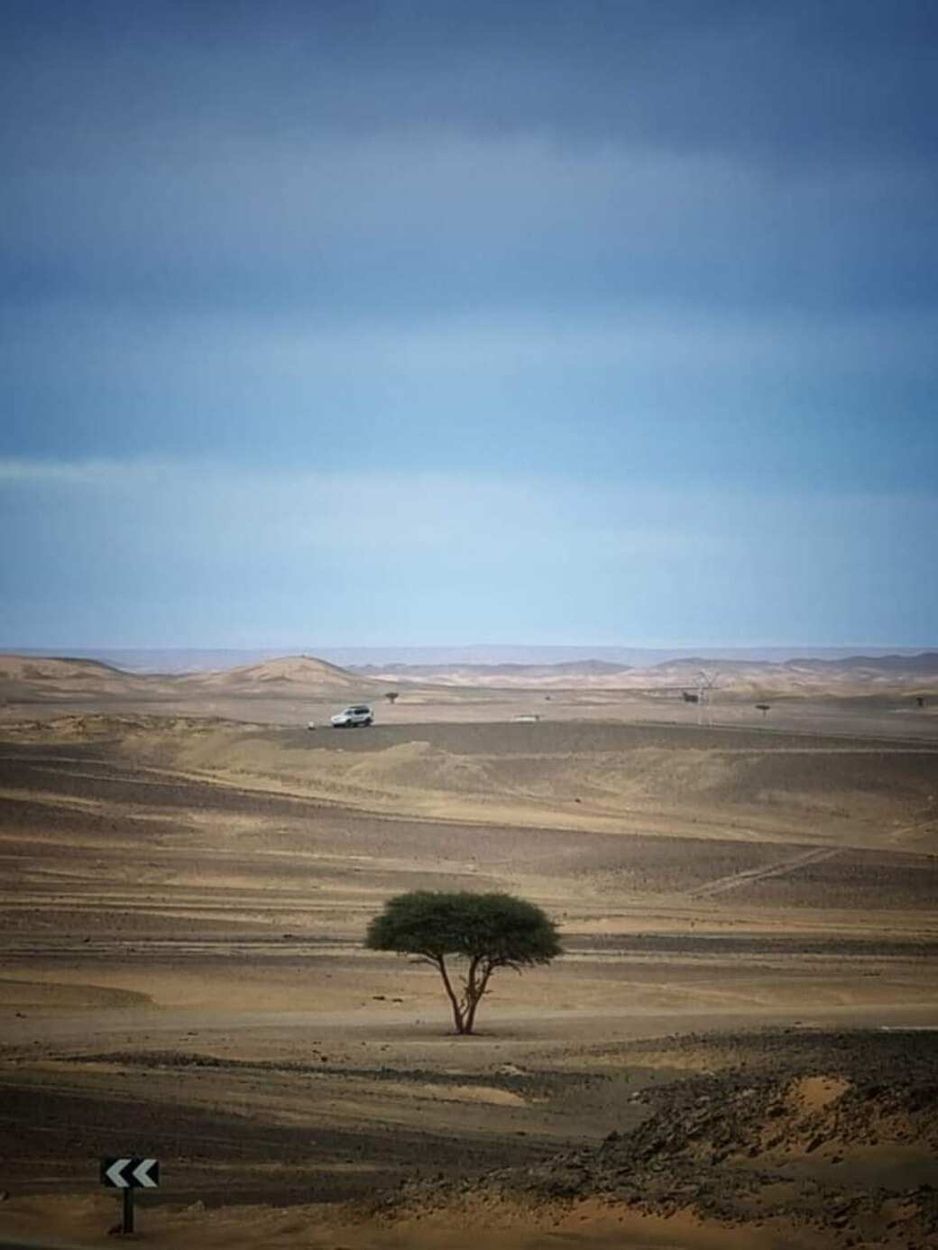 Desert Dreams & Imperial Cities: 8 Days Across Morocco (7/33)
