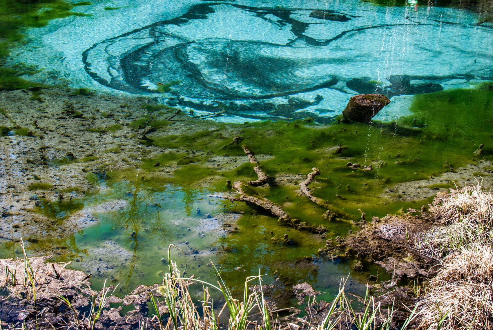 Алтай Аллегро 2026 (группа для 2-4 чел.) (8/34)