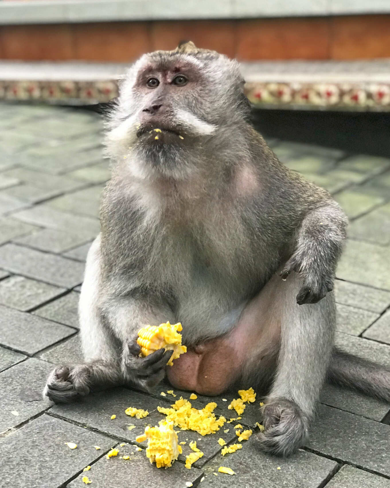 Фото-девичник на Бали за 10 дней (59/167)