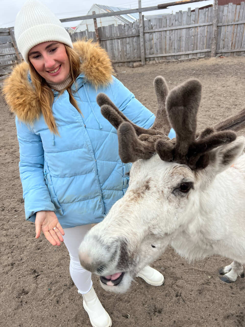 Жизнь на корабле! Киты, Териберка (18/34)