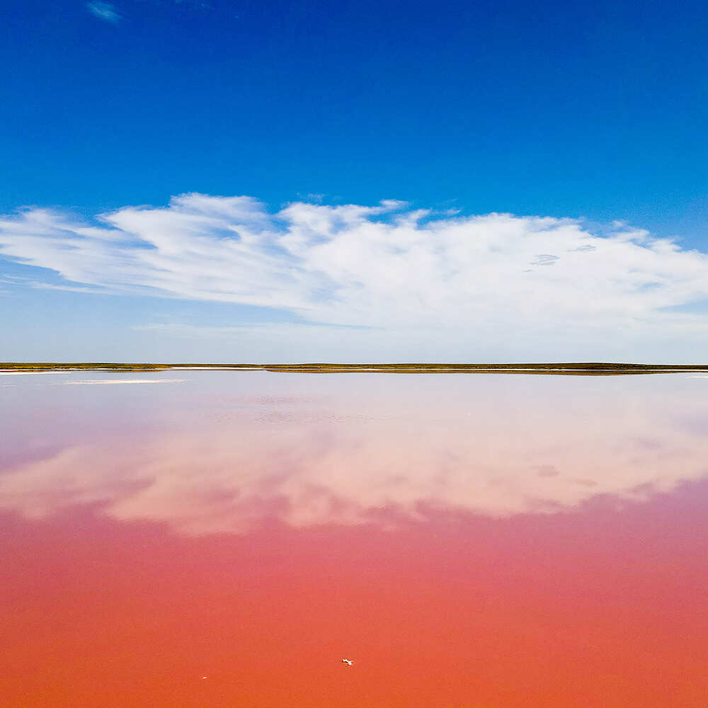 Цветы Будды. Этнопутешествие в Калмыкию (4/24)