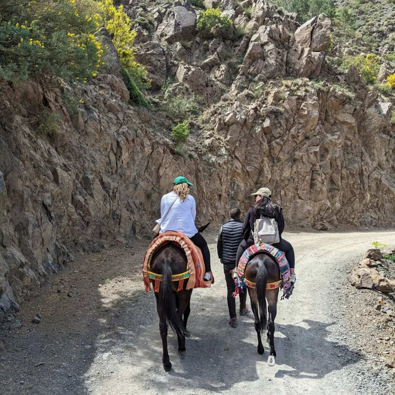5-дневный треккинг, семейное приключение в Марокко (8/8)