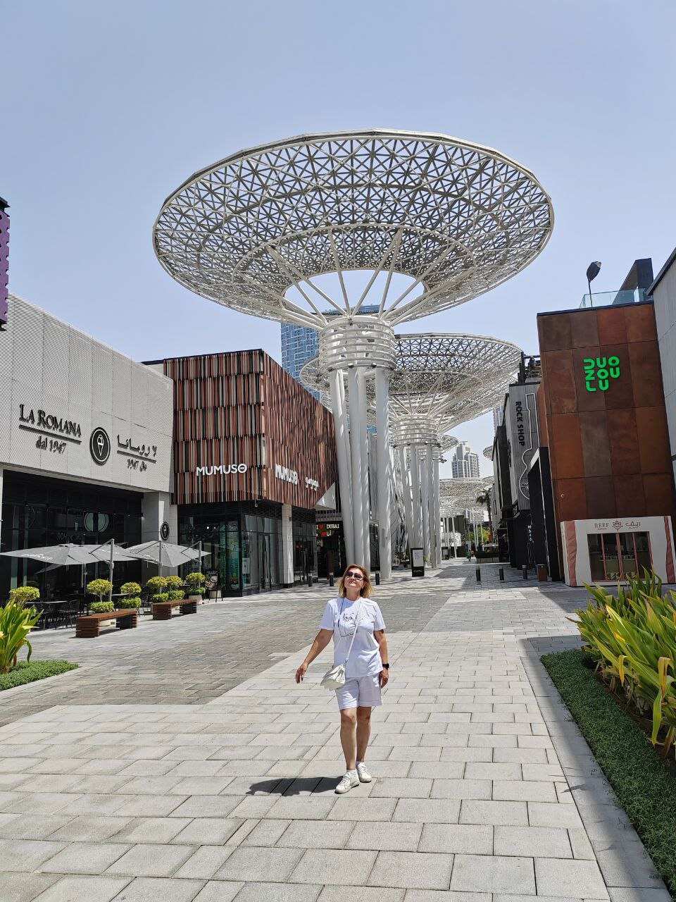 Дубай экскурсионный! Для первого знакомства. (21/65)