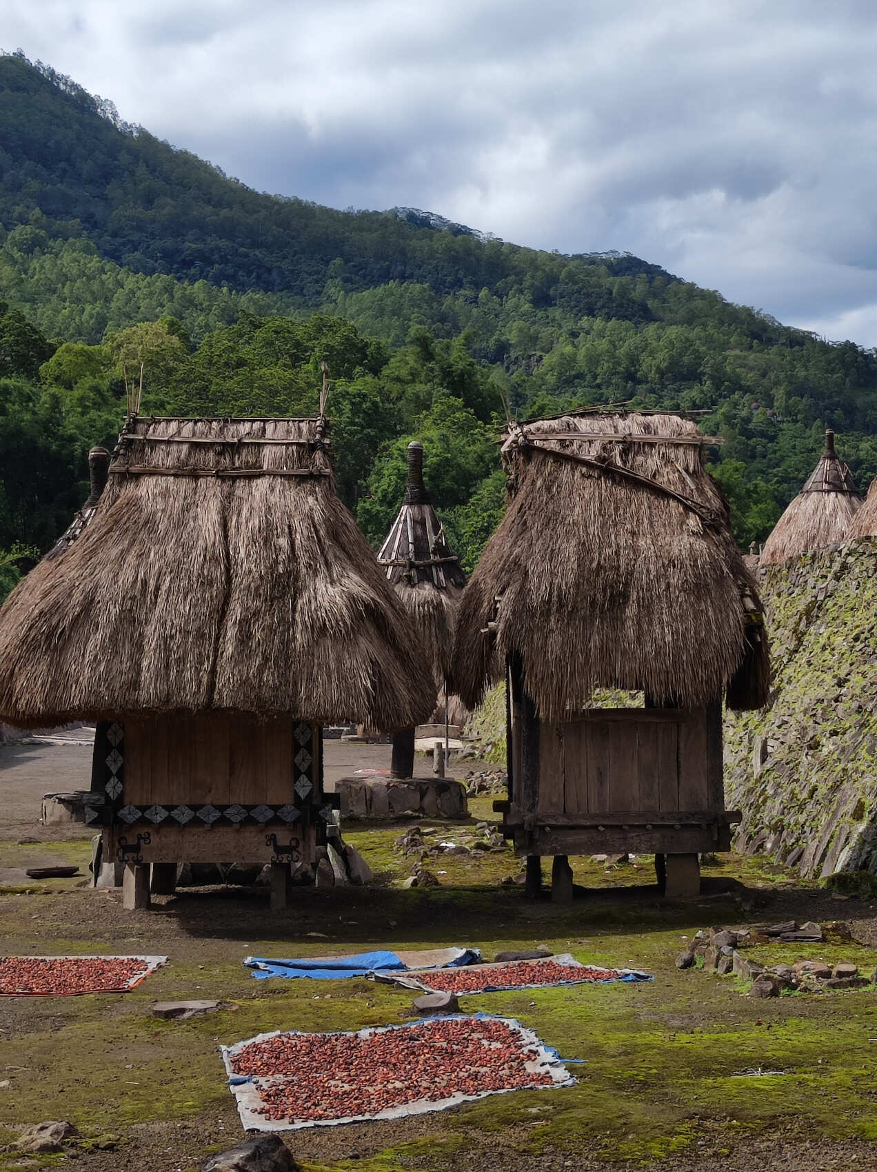 Этнотрип на Флорес и Комодо (10/79)