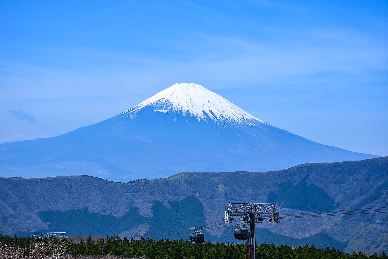 Сакура в Японских Альпах (2/48)