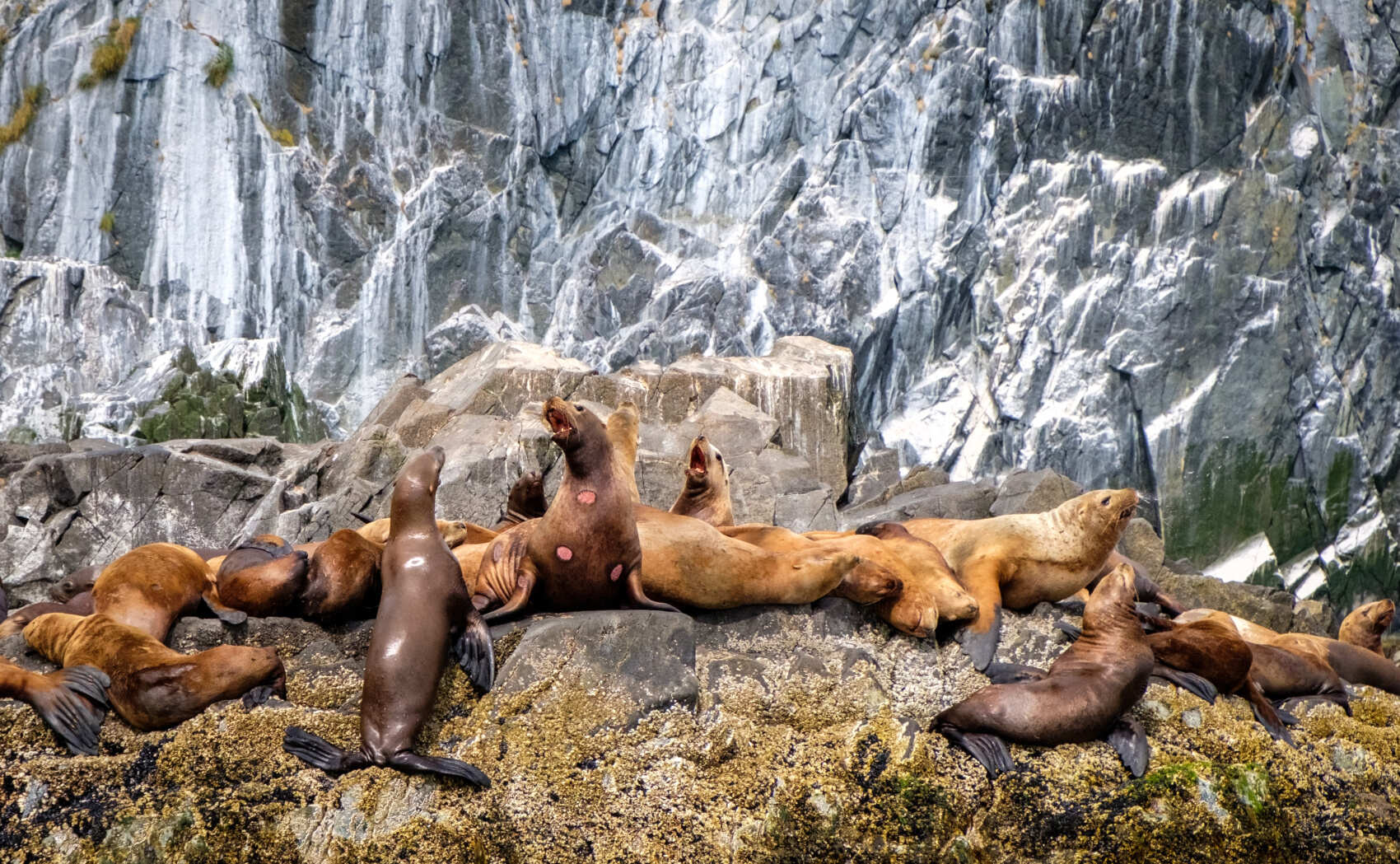 Поход по Камчатке: вулканы и океан (16/58)