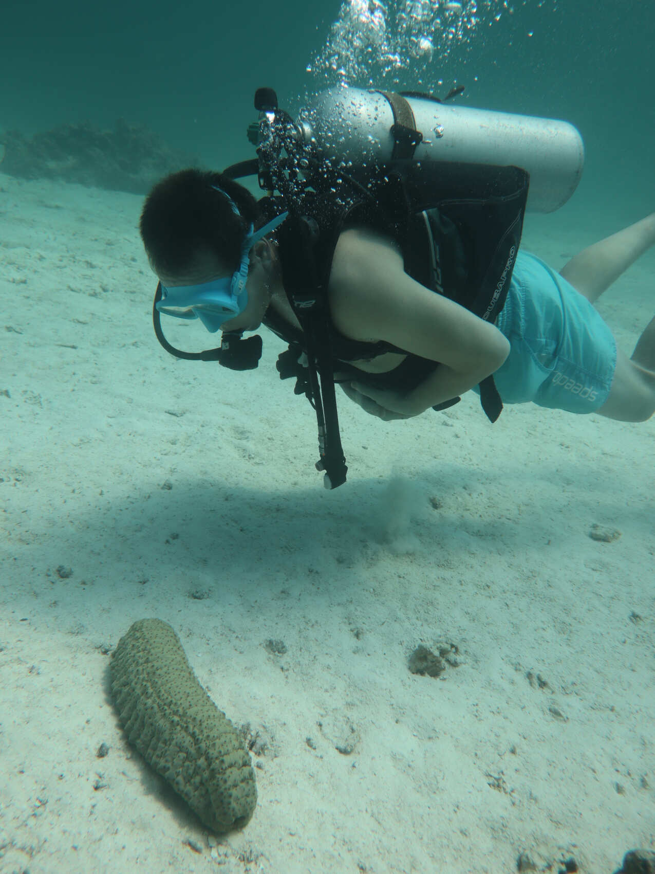 Дайвинг с индивидуальным инструктором. Для Новичков и профессионалов (46/50)