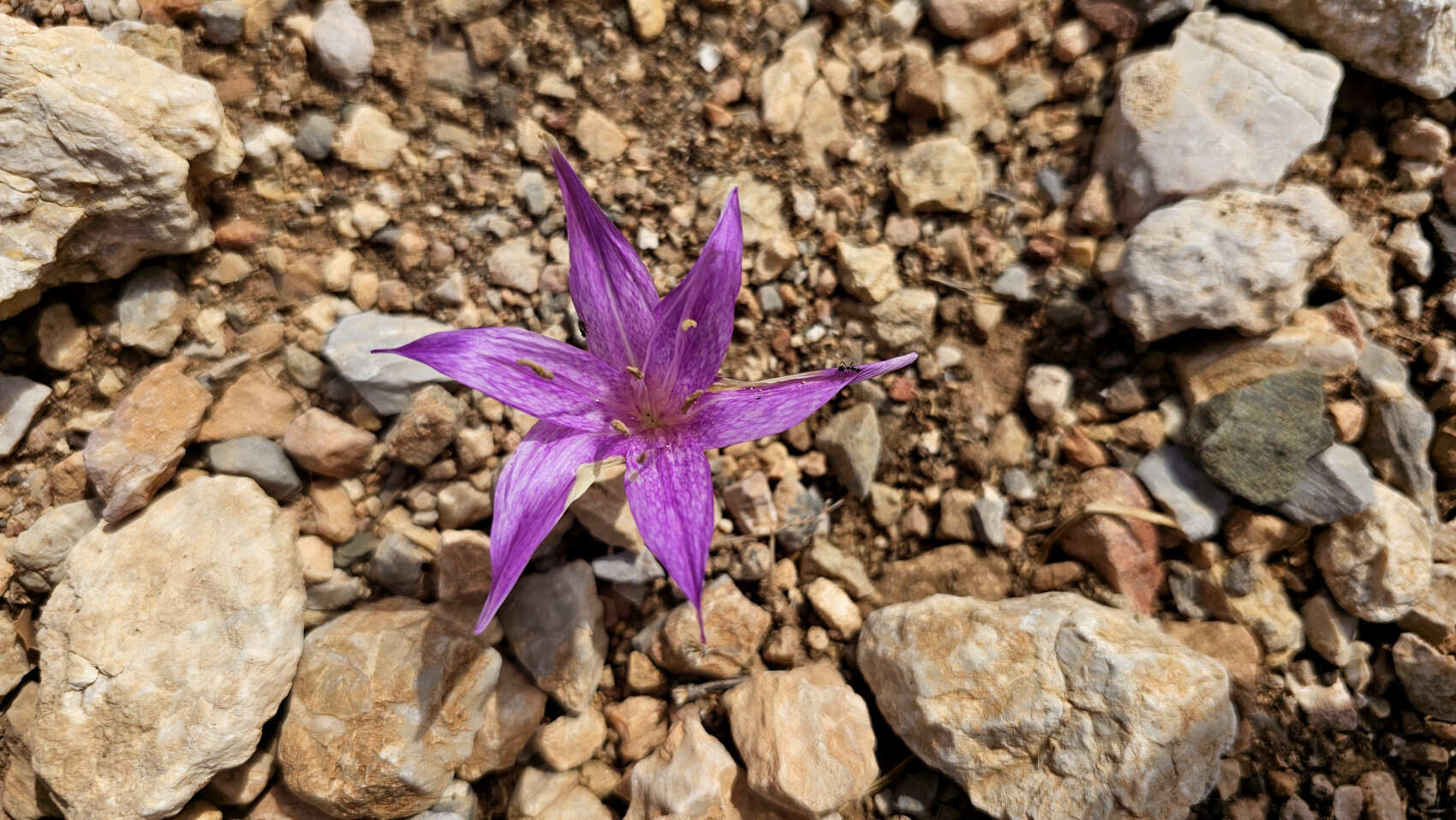 Треккинг по Карийской тропе (8 дней) (14/46)