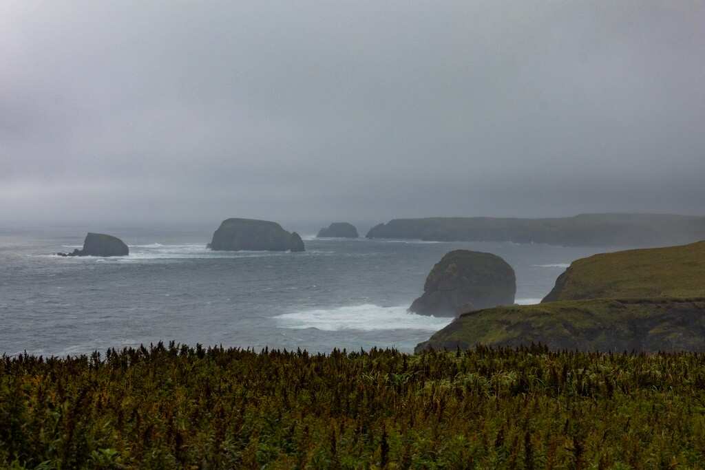 Поход на остров Шикотан (20/24)