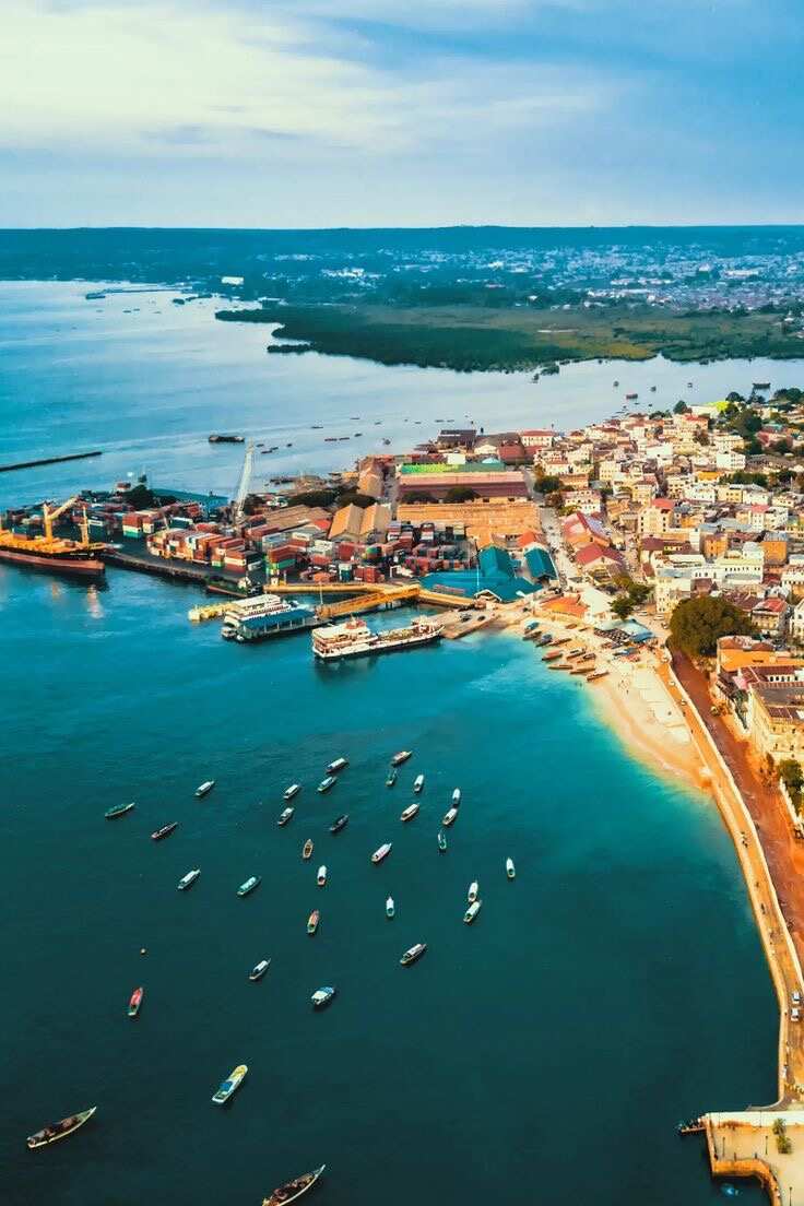 Удивительный Занзибар  и Один День В Танзании, увидеть большую пятёрку (8/89)