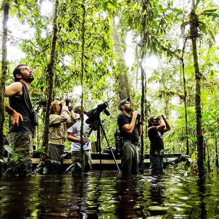 4 дня исследования джунглей Амазонки в заповеднике Куябено (2/19)
