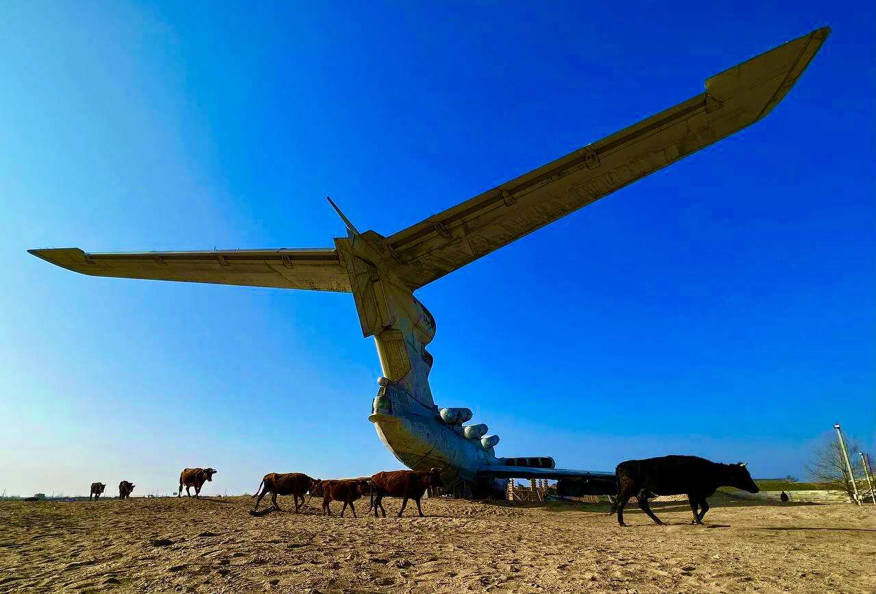 Отдых по-Кавказски  3 Дня все включено (50/67)