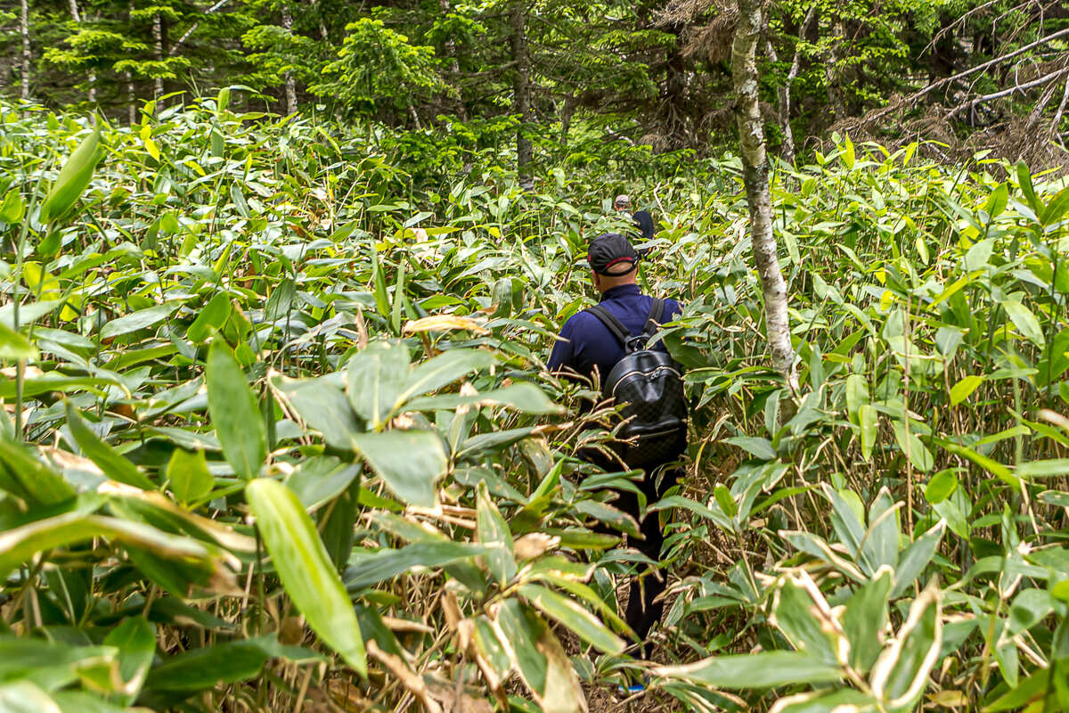 Четыре вулкана Курильских островов. Путешествие на другую планету (58/186)