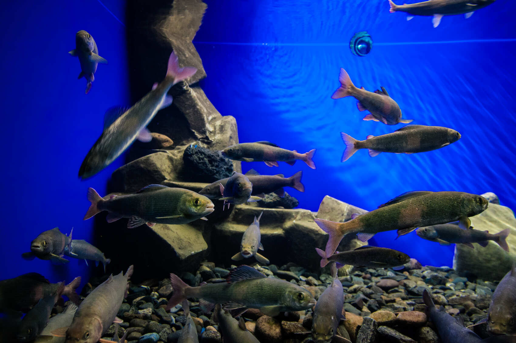 Байкальская Сказка в День России. Топовые локации от Иркутска до Ольхона. (20/90)