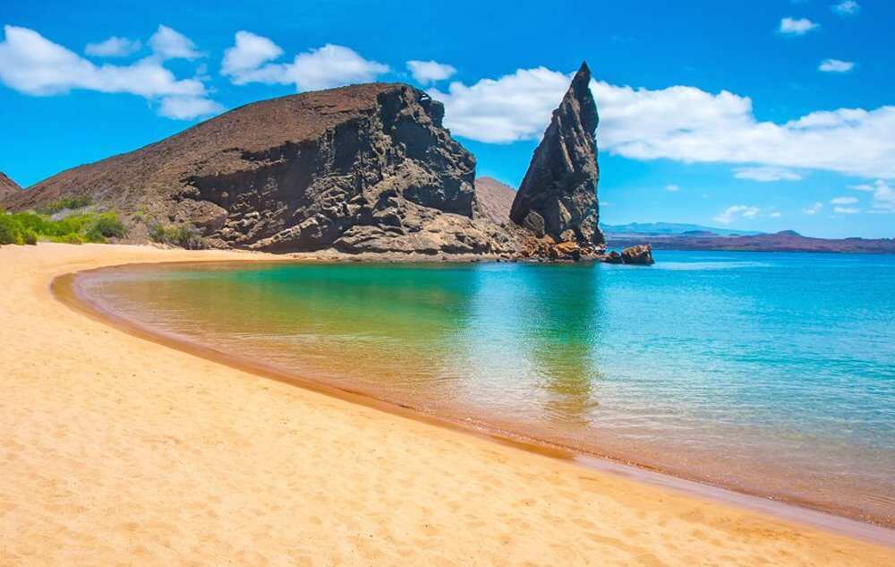 Четыре дня волшебства Санта-Круза (5/7)