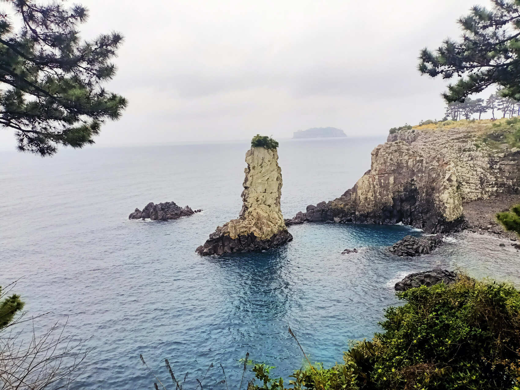 Южная Корея. Сакура в утренней свежести (25/34)