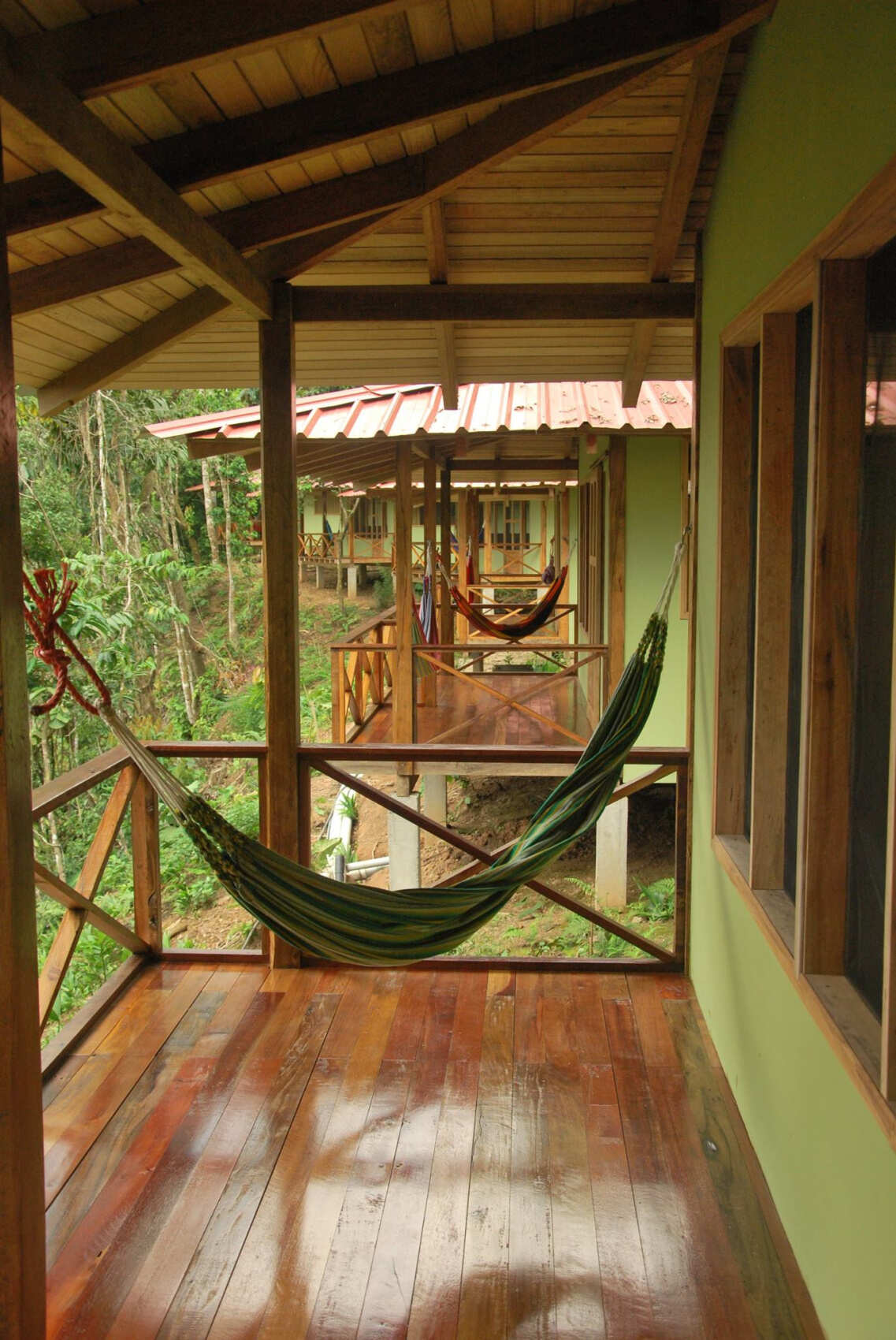 5-дневная экспедиция по Амазонке в Напо (5/23)