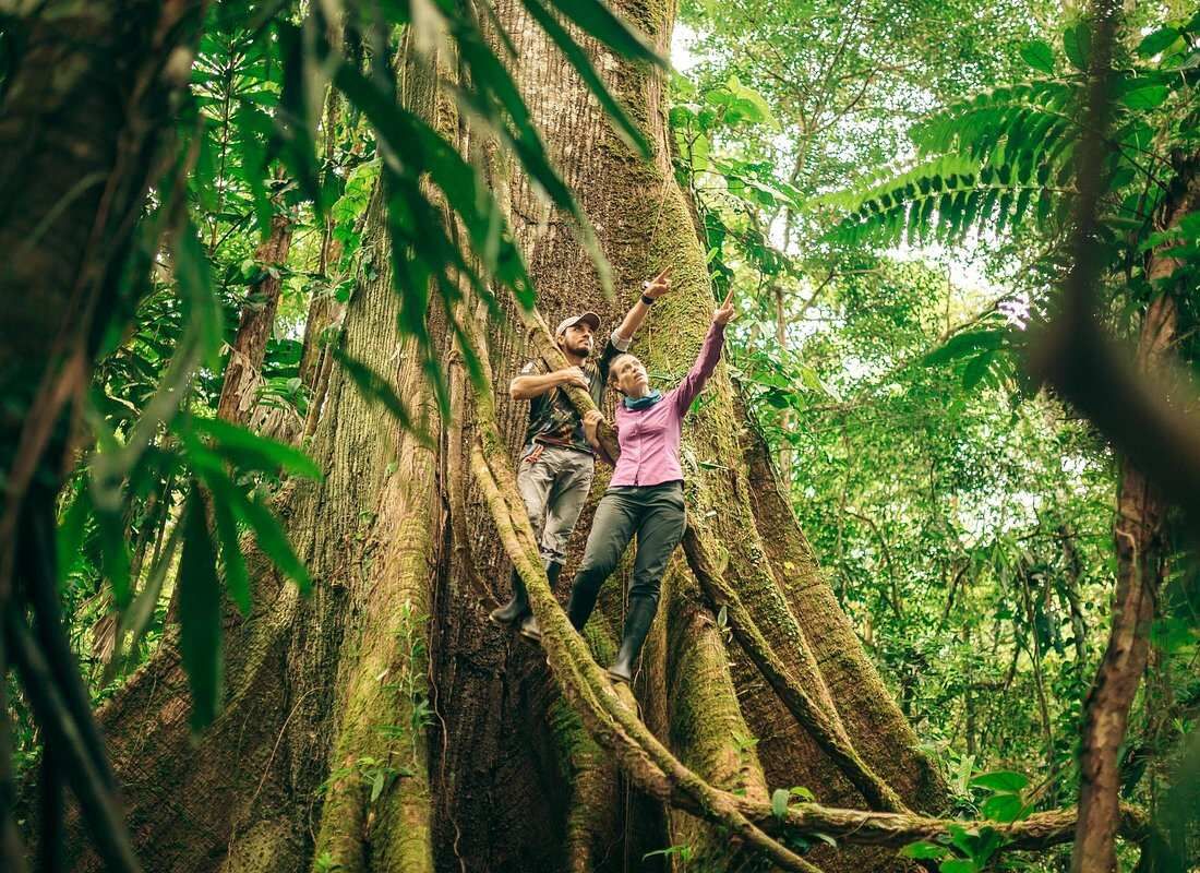 4 Days - Adventure in Cuyabeno