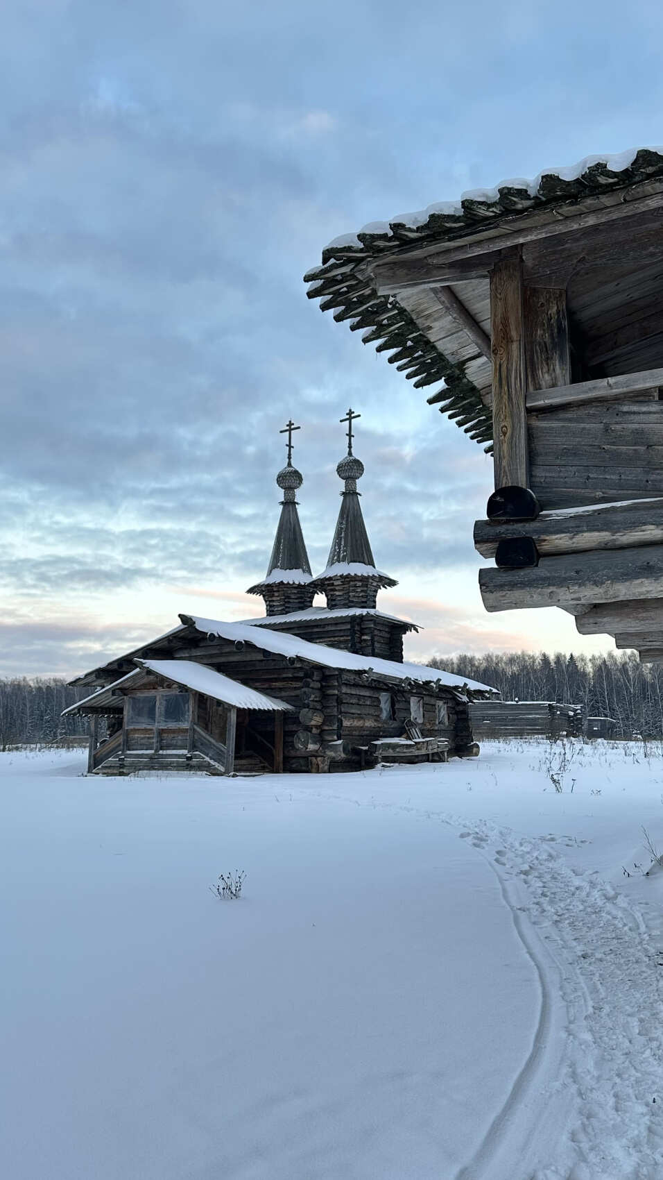 Поход на снегоступах Русский север в Подмосковье (2/11)