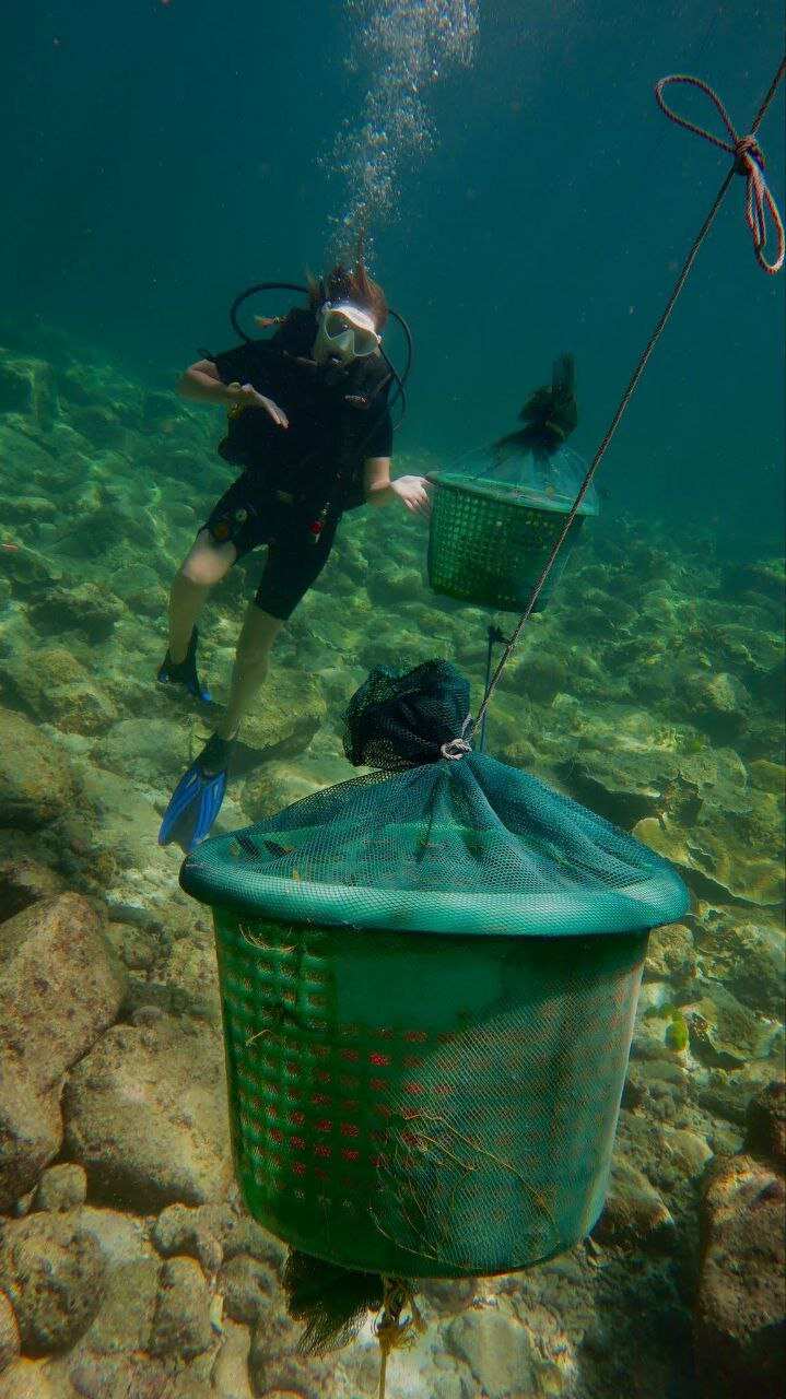 Дайвинг с индивидуальным инструктором. Для Новичков и профессионалов (33/50)