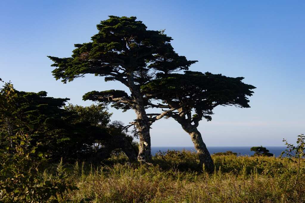 Поход на остров Шикотан (9/24)