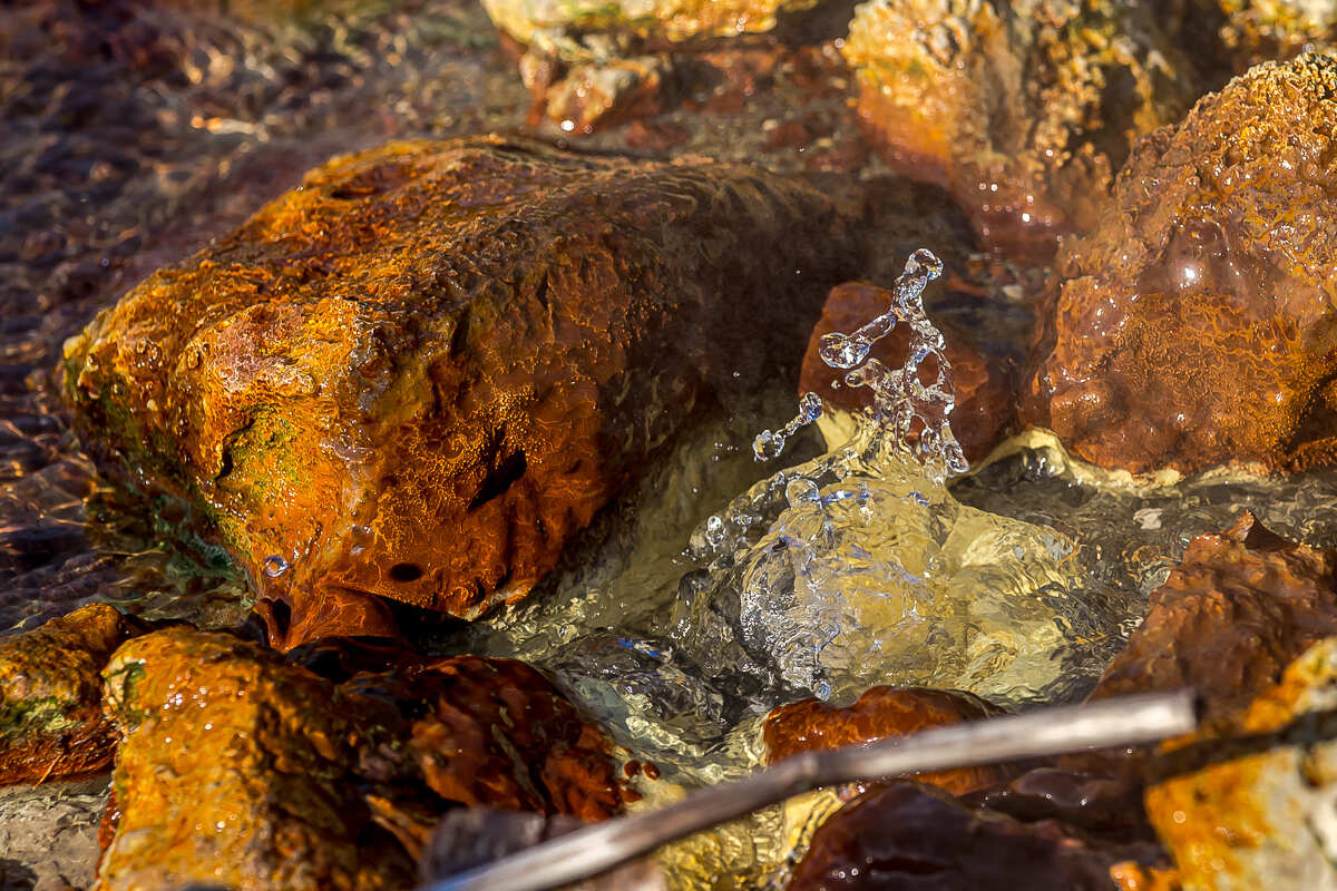 Четыре вулкана Курильских островов. Путешествие на другую планету (73/186)