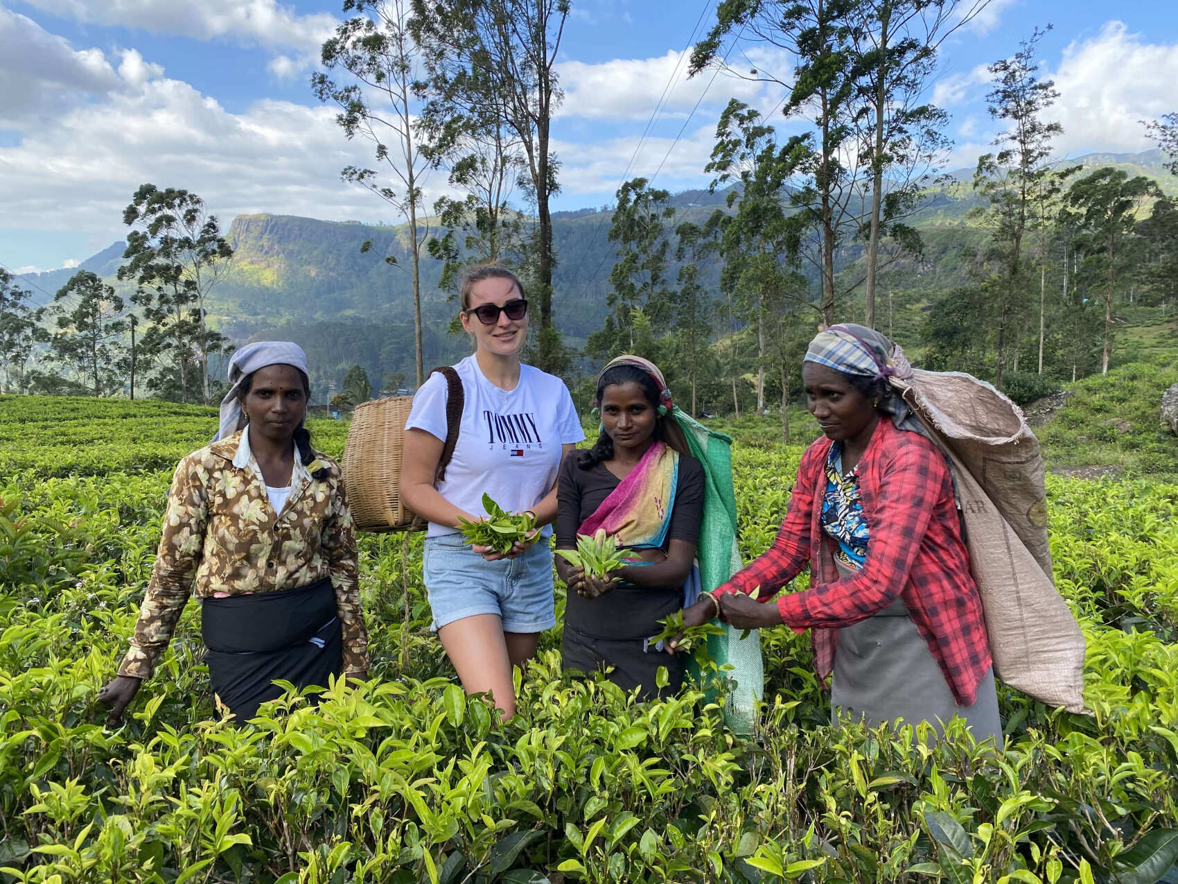 Шри-Ланка. 14 насыщенных дней твоей жизни! Восточные пляжи, горы, чай, киты и слоны (16/67)