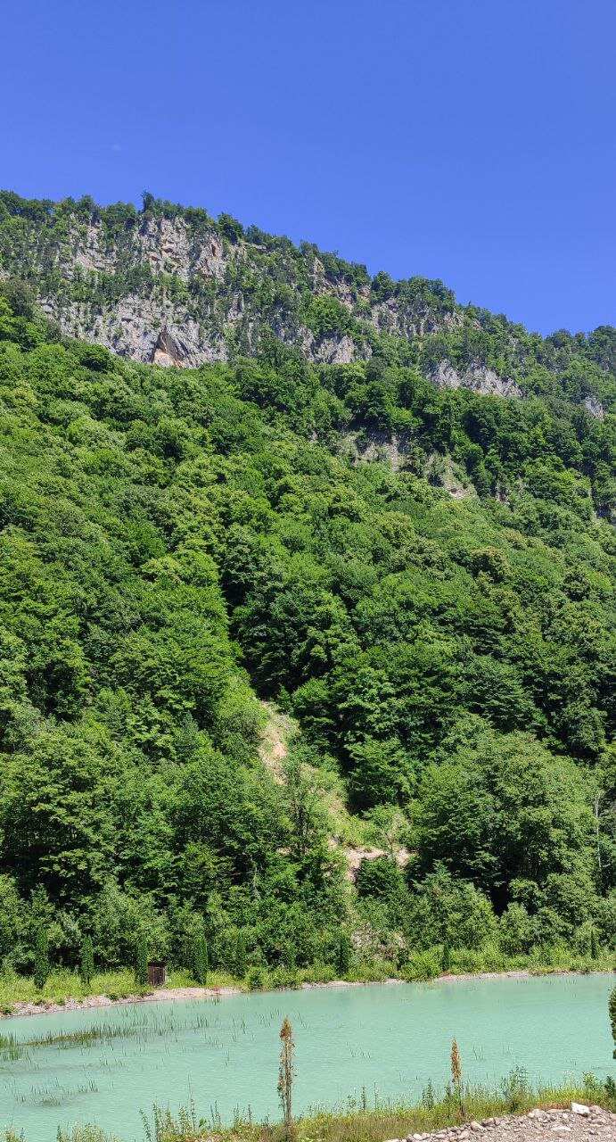 Цейская сказка (2/12)