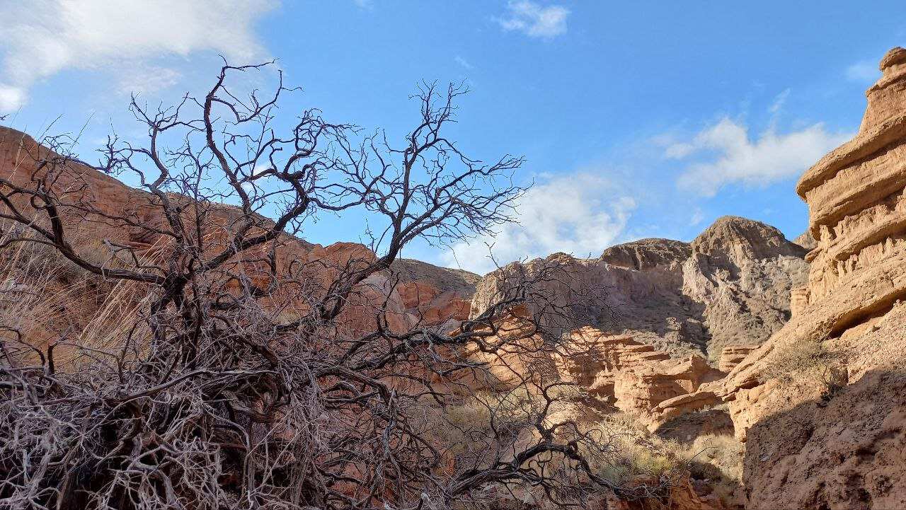 Захватывающее озеро Иссык-Куль и каньоны Кок-Мойнок (10/20)