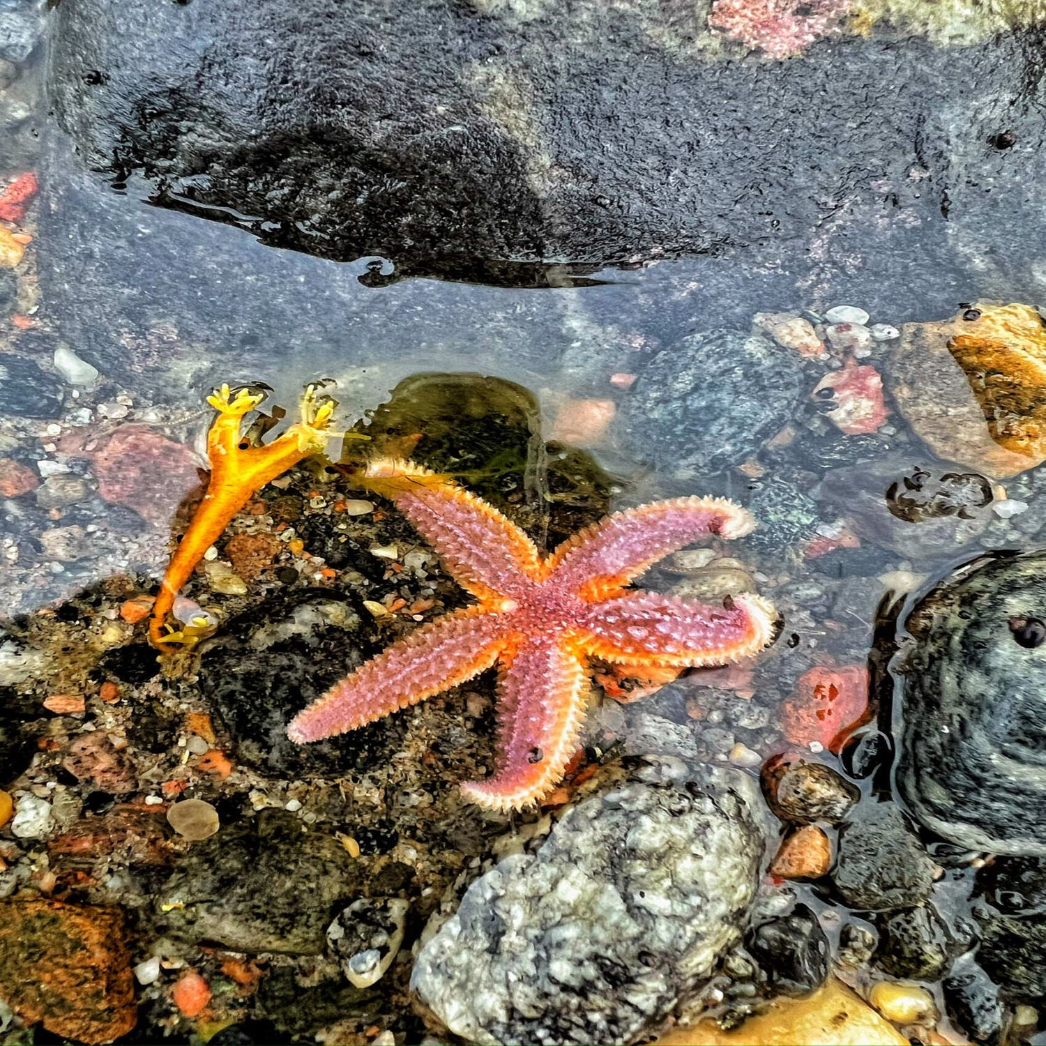 Путешествие по Терскому берегу Белого моря (2/29)